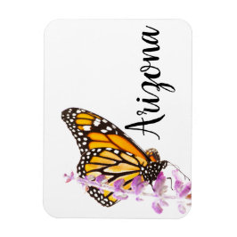 Ímã Monarca empoleirada na lavanda, Arizona