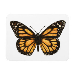 Ímã Monarch butterfly