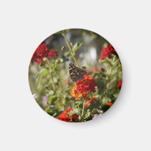 Imã "Monarch" Magnet