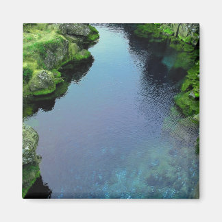 Imã Money River Magnet