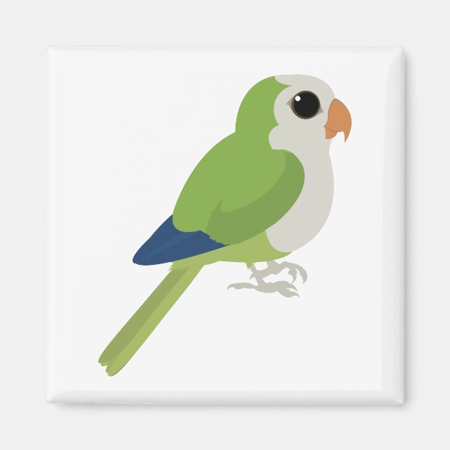 Imã Monk Parakeet (Frente)