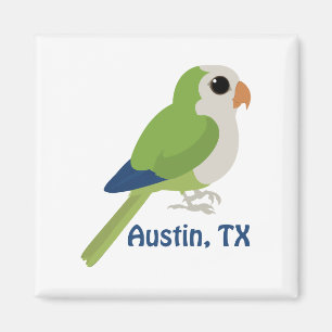 Imã Monk Parakeet - Austin, Texas