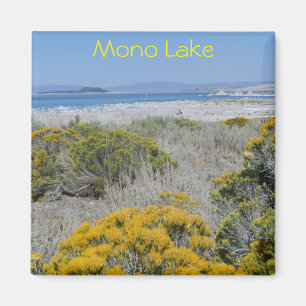 Imã Mono lago, CA