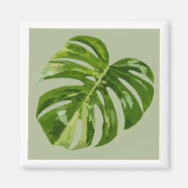 Imã Monstera Albo Hero Leaf Magnet — Rare Variegation 