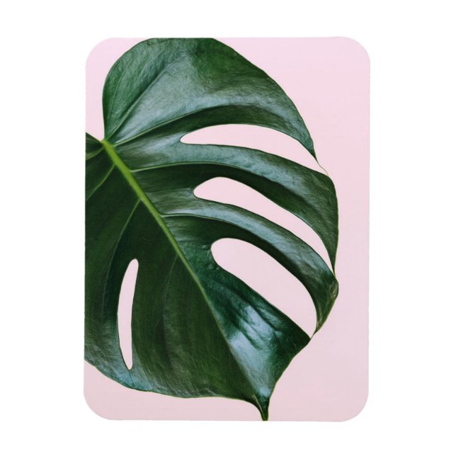 Ímã Monstera Tropical Leaf (Vertical)