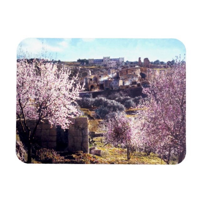 Ímã Montagem Vintage De Jerusalém Israel 1950 - 77 (Horizontal)