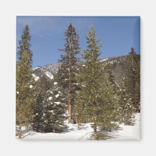 Imã Montana Mountain Trails na foto da paisagem de inv