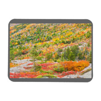 Ímã Montanha cadillac em Queda, Parque Nacional Acadia