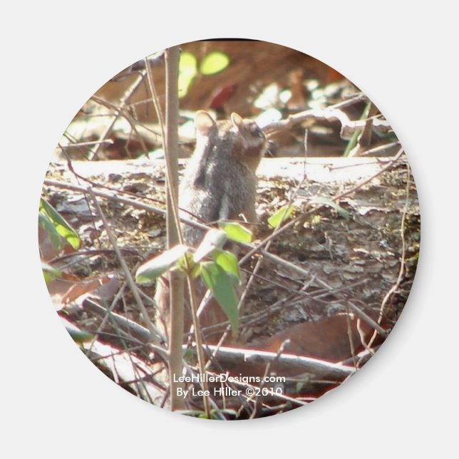 Imã Montanha de Primaveras Quentes, Presentes de Chipm (Frente)