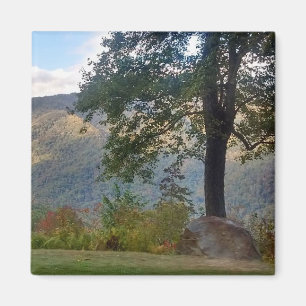 Imã Montanha e ímã da árvore