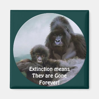 Imã Montanha Gorillas Primate Willife Art Magnet