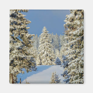 Imã Montanha Jura por pôr do sol de inverno, Suiça