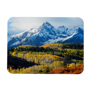 Ímã Montanha nevado & árvores