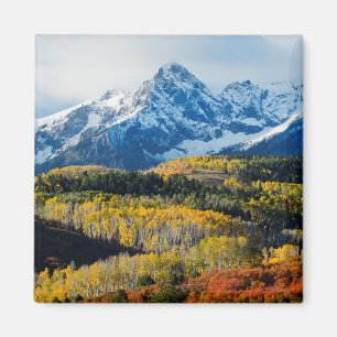 Imã Montanha nevado & árvores