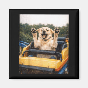Imã Montanha Russa de Cachorro Engraçado Meme Gráfico