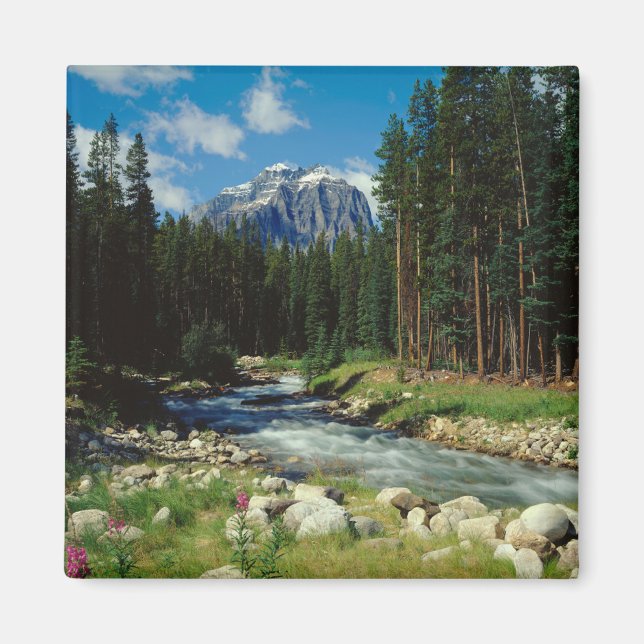 Imã Montanhas | Banff National Park (Frente)