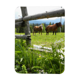 Ímã Montanhas Cárpticas - Ucrânia