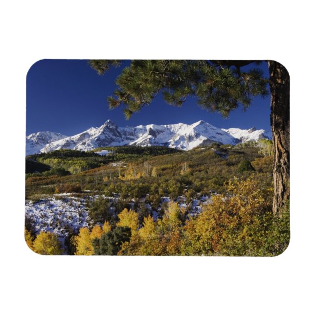 Ímã Montanhas de San Juan e árvores Aspen em cor de ou (Horizontal)