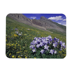 Ímã Montanhas e flores silvestres em prado alpino, Azu