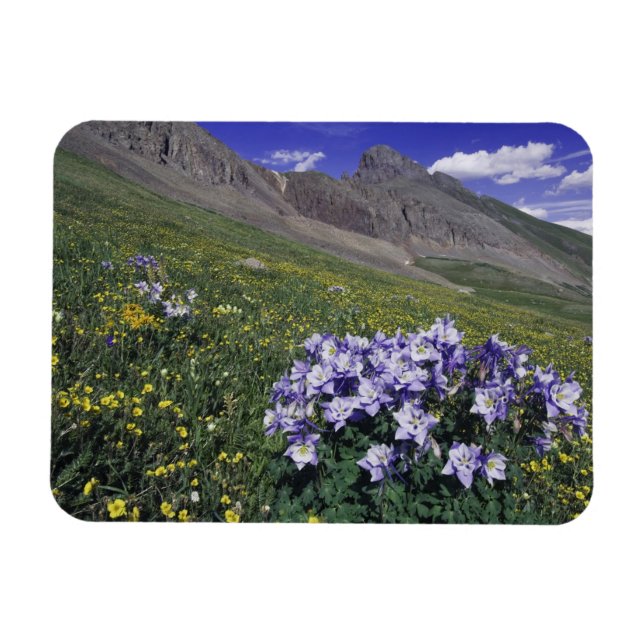 Ímã Montanhas e flores silvestres em prado alpino, Blu (Horizontal)
