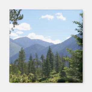 Imã Montanhas e Floresta de Montana - Vista Cênnica