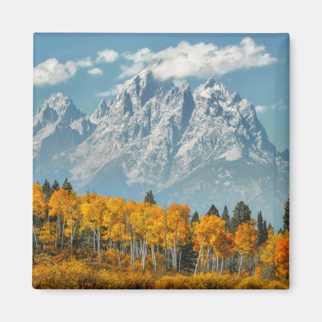 Imã Montanhas Grand Teton na Queda (Frente)