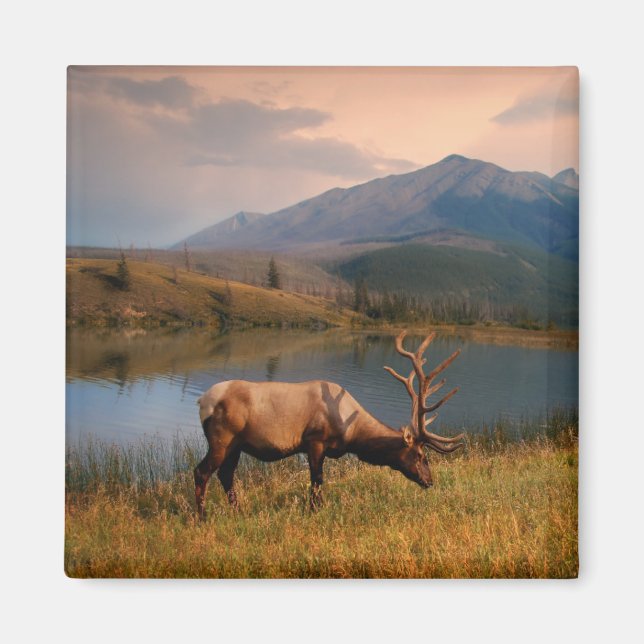 Imã Montanhas | Jacques Mountain Range Alberta Canadá (Frente)