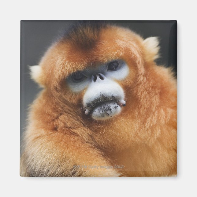 Imã Montanhas Qinling, Out 2006 2 (Frente)