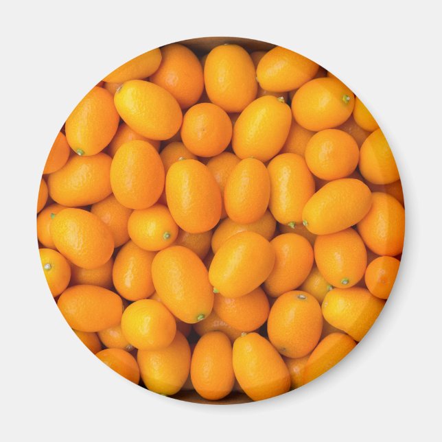 Imã Monte de kumquats laranja na caixa de papelão (Frente)