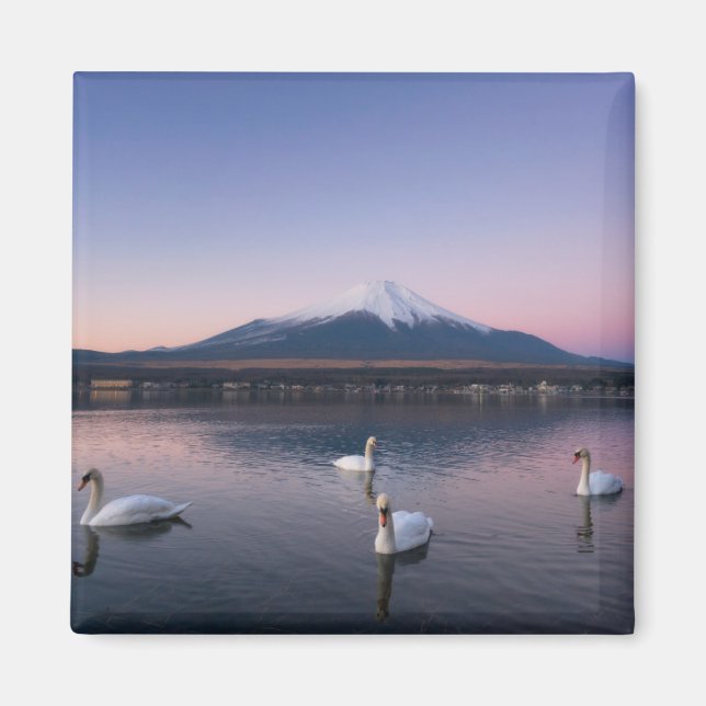 Imã Monte Fuji | Lago Yamanaka com Cisnes (Frente)