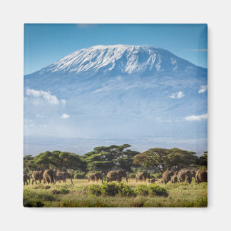 Imã Monte Kilimanjaro