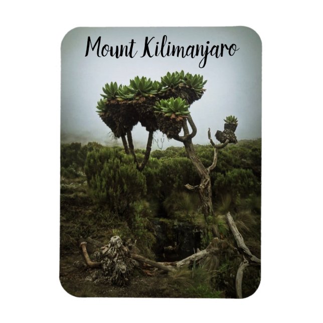 Ímã Monte Kilimanjaro Magnet (Vertical)