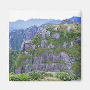 Imã Monte Nagata, Yakushima, Kagoshima, Japão