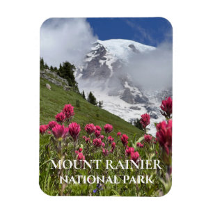 Ímã Monte Rainier coberto por neve, pincel indiano