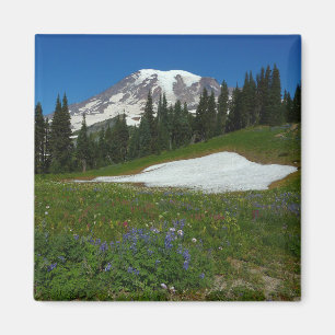 Imã Monte Rainier, Flores Silvestres e Neve