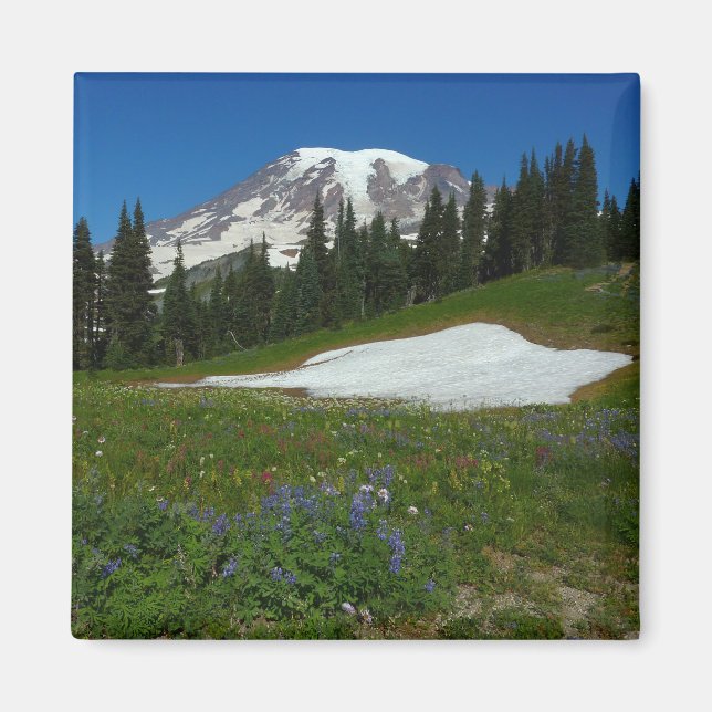 Imã Monte Rainier, Flores Silvestres e Neve (Frente)