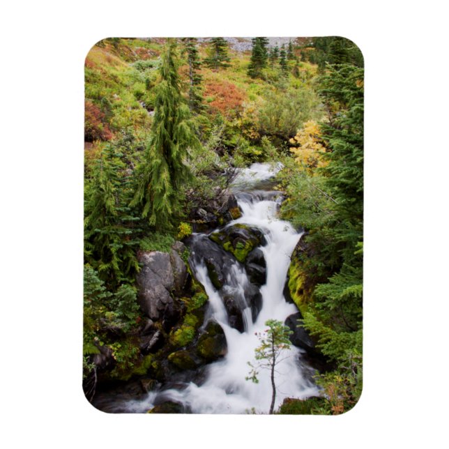 Ímã Monte Rainier National Park, riacho de outono (Vertical)