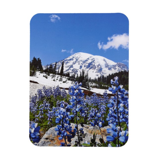 Ímã Monte Rainier no Paraíso (Vertical)