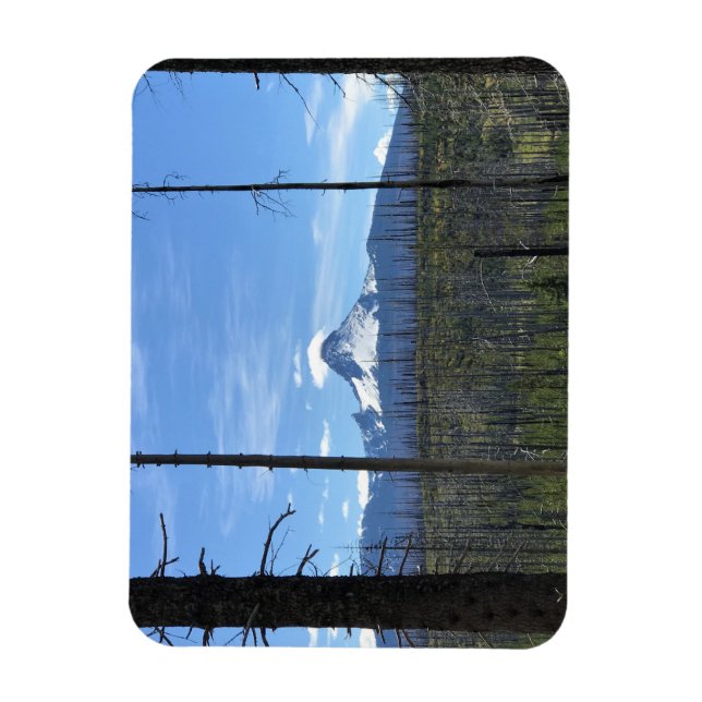 Ímã Monte Washington, OR (Vertical)