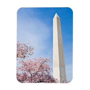 Ímã Monumento a Washington
