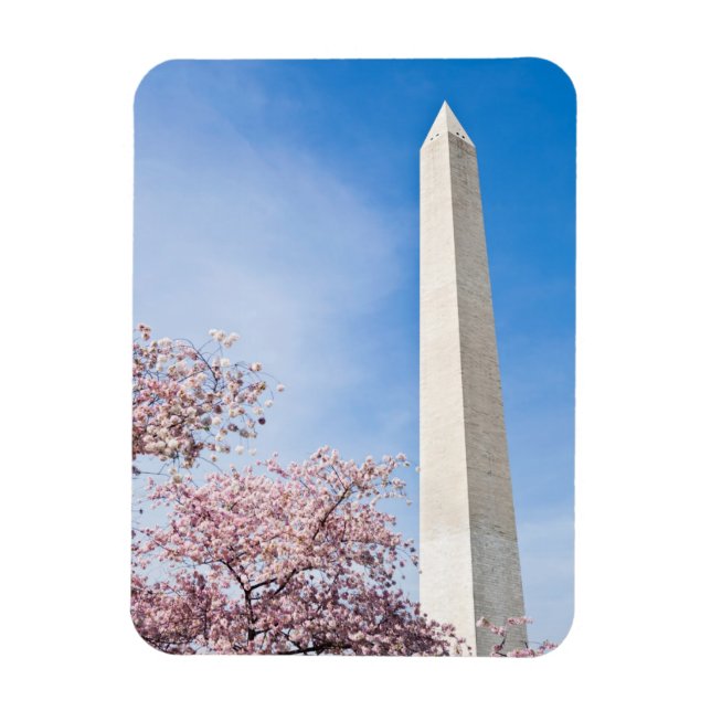 Ímã Monumento a Washington (Vertical)