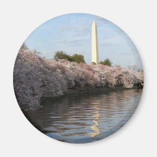 Imã Monumento de Cherry Blossom Washington