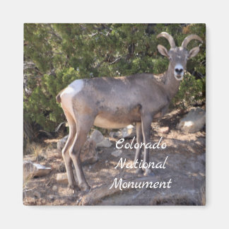 Imã Monumento Nacional do Colorado