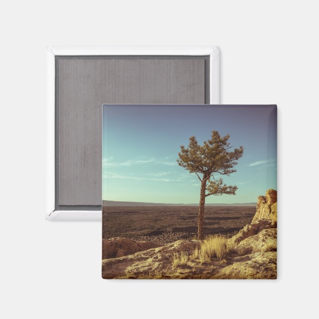 Imã Monumento Nacional El Malpais (Front/Back)