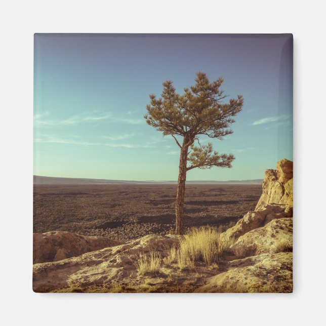 Imã Monumento Nacional El Malpais (Frente)