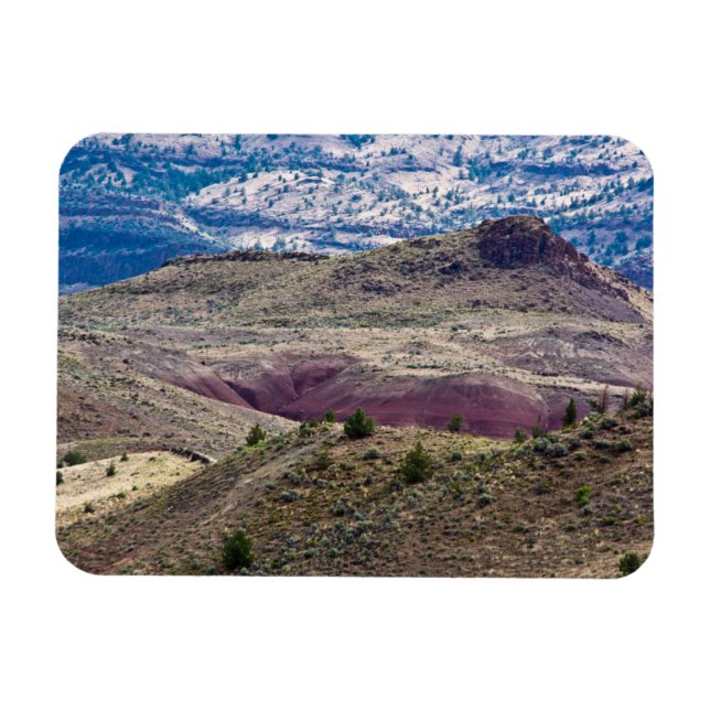 Ímã Monumento Nacional John Day Fossil Beds, Oregon (Horizontal)