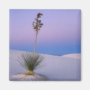 IMÃ MONUMENTO NACIONAL WHITE SANDS, NOVO MÉXICO.
