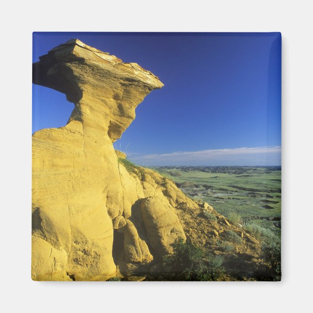 Imã Monumento Sandstone na zona de Hell Creek perto (Frente)