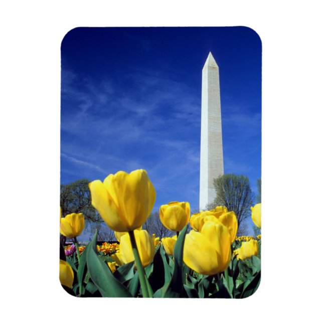 Ímã Monumentos | Monumento a Washington em Primavera (Vertical)