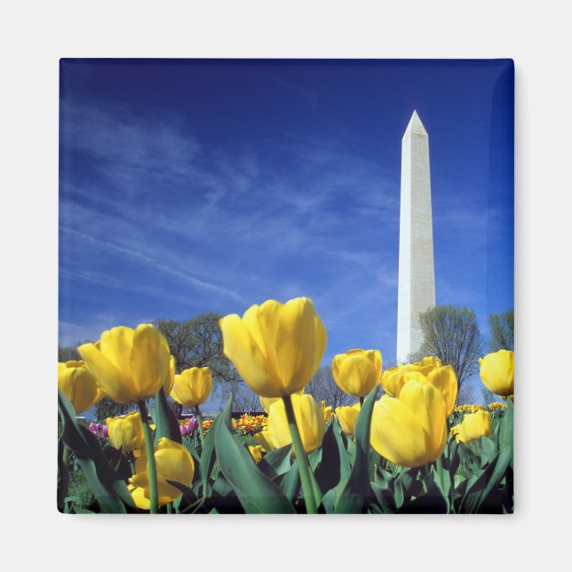 Imã Monumentos | Monumento a Washington em Primavera (Frente)